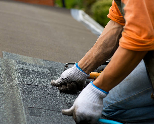 Best Roof Maintenance Services  in Taft, CA